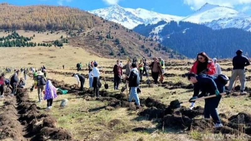 Қырғыз азаматы әкесіне арнап 14 мың түп ағаш отырғызды