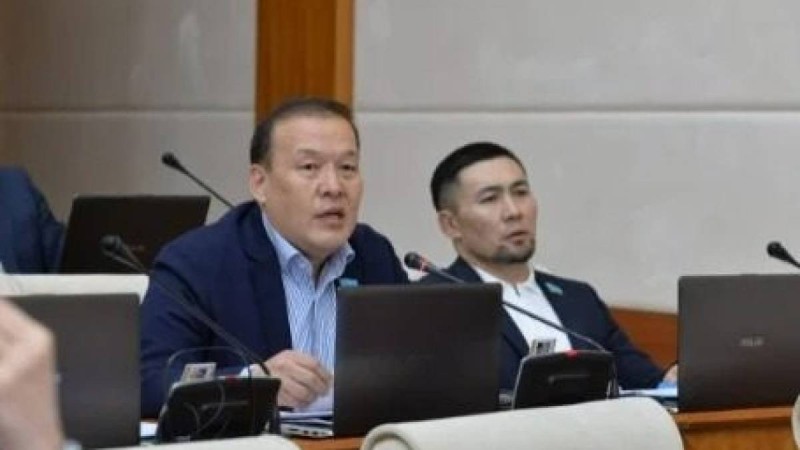 Көршілес Ресейде отандық тасымалдаушылар шектеулерге тап болды - депутат   