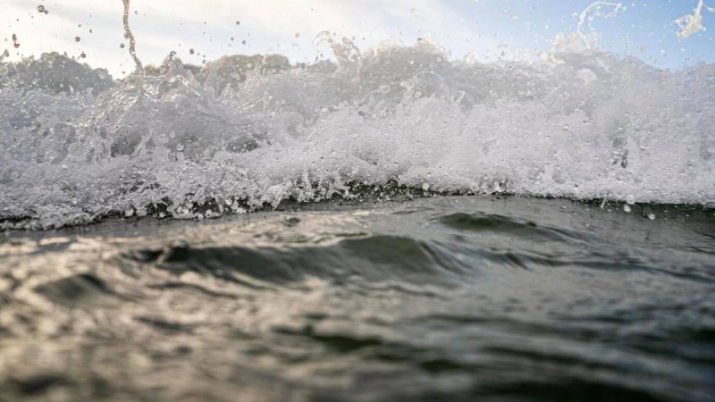 "Ағасы мен әкесі қызды құтқармақ болған, соңында аналары түскен": Ақмола облысында бүтін бір отбасы суға батып қаза тапты