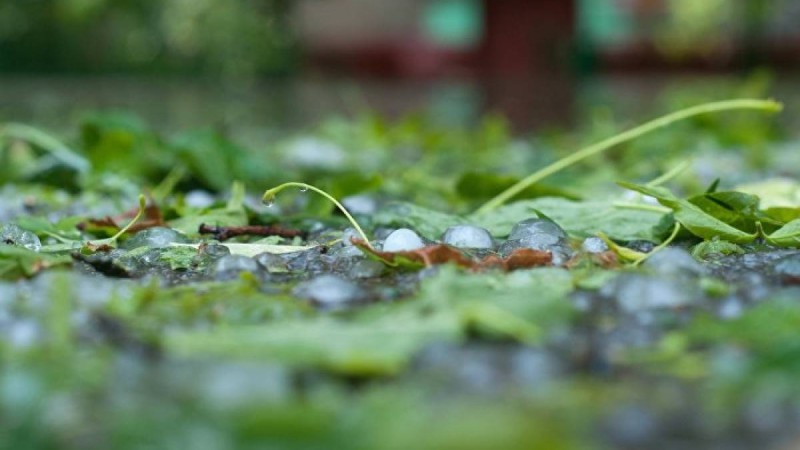 2 мамырға арналған ауа райы болжамы