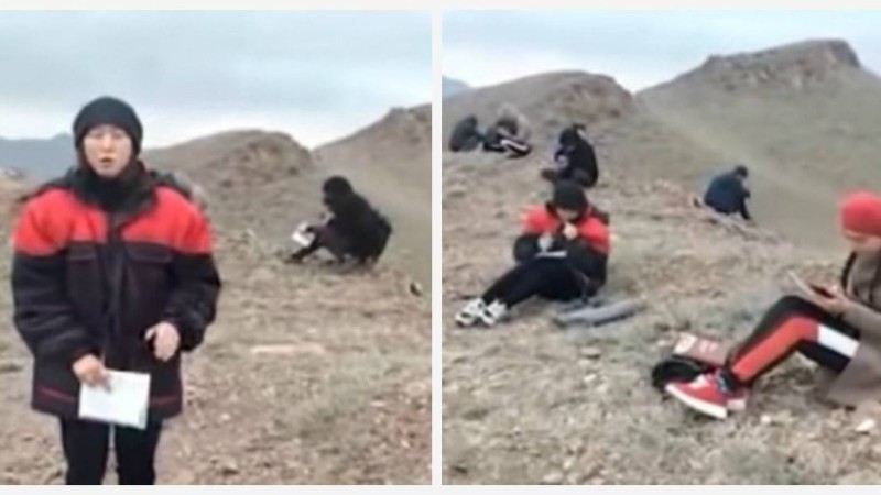 Алматы облысында студенттер сабақ оқу үшін тау басына шығуға мәжбүр - Қазақстан жаңалықтары