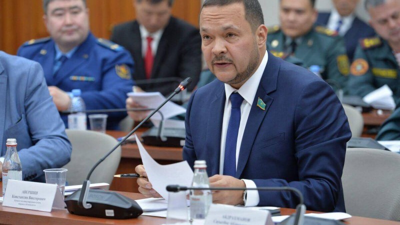 Мәжіліс депутаты блогерлерді бірнеше айға әскерге шақыруды ұсынды