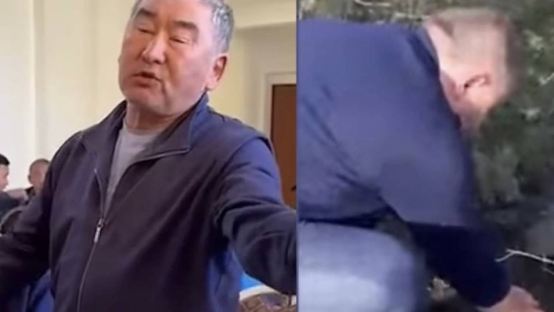 Маралдыда мал қырылды: тұрғындар шенеуніктерді арықтан су ішуге мәжбүрледі