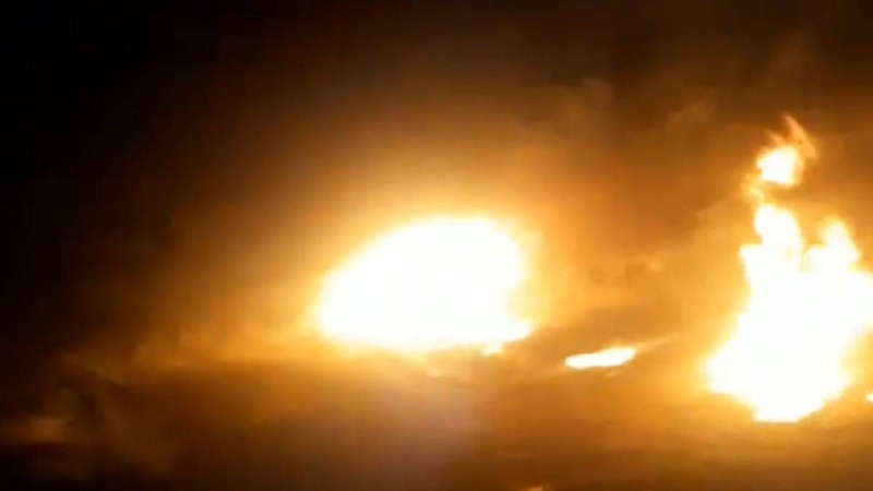 Алматы облысында күшікті тірідей өртеп жіберді - Қазақстан жаңалықтары