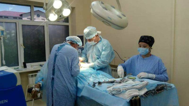 Бауырын құрт жеп тастаған: Қазақстандық дәрігерлер анасы мен баласын аман алып қалды - Қазақстан жаңалықтары