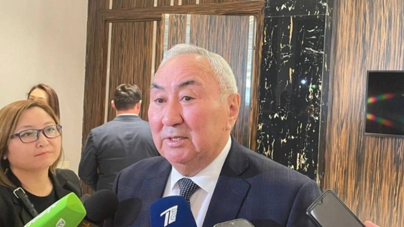 Жигули Дайрабаевтың екі ұлына сот алаяқтық жасағаны үшін жаза тағайындады