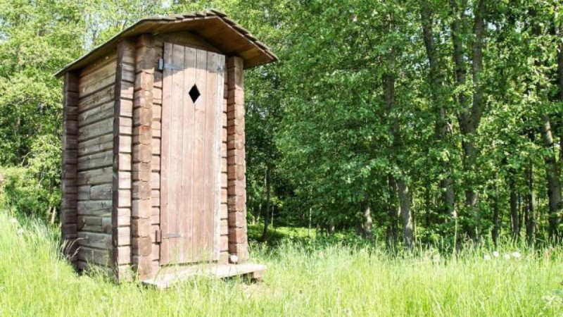 Шақалағын дәретханаға лақтырған қыз қамауға алынбайтын болды