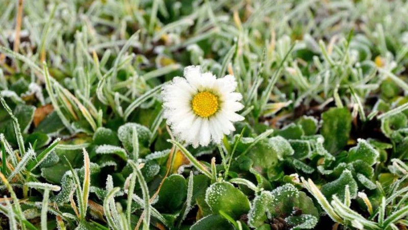 Қазақстанның алты облысында күн 1 градусқа дейін суытады