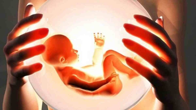 300 мың теңгеге дейін: Қазақстанда мұғалімдер мен дәрігерлер аналық ұрығын сатып ақша табатын болған - Қазақстан жаңалықтары