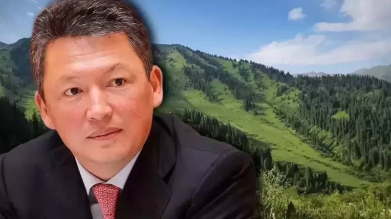 Құлыбаевтардың заңсыз жерлері мемлекетке қайтарылды