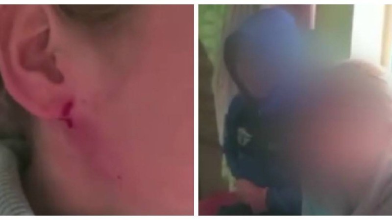 «Құлағыма шанышқы тықты, өтінемін көмектесіңіздерші!»: Жетісайда балалар туған анасынан қорғауды сұрады