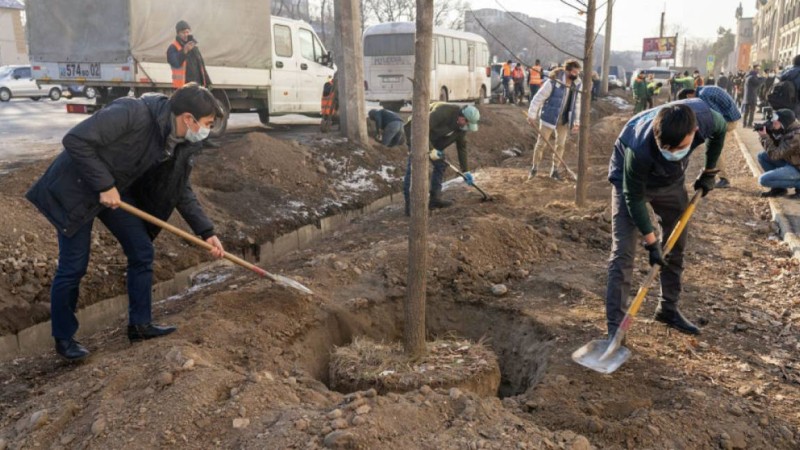 Алматыда отырғызылған 500 ағашқа қаражат қалалық бюджеттен бөлінген