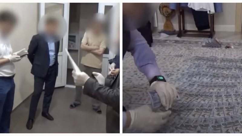 Нұр-Сұлтанның мәдениет және спорт басқармасының басшысы пара алғаны үшін ұсталды (видео)