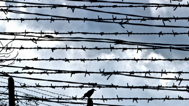 "Бостандыққа бір қадам жақындадым": Павлодардағы сотталушы министр марапатына ие болды