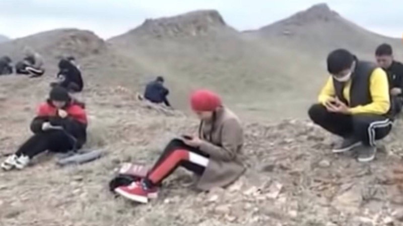 Алматы облысында қашықтықтан оқитын студенттер интернет іздеп, тау кезіп жүр - Қазақстан жаңалықтары