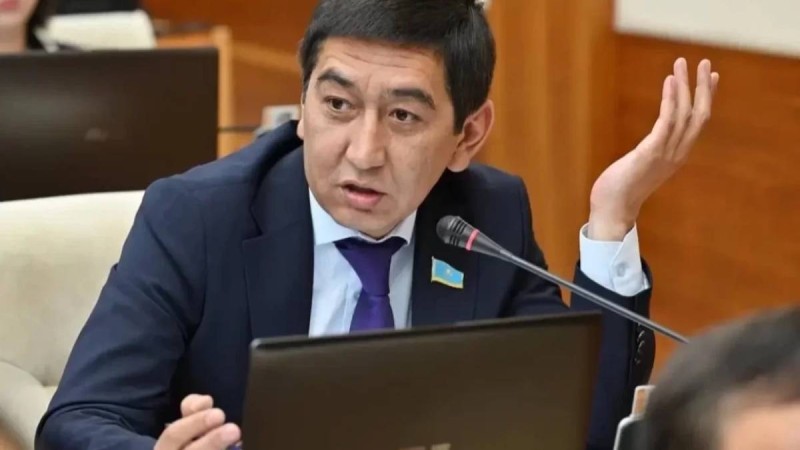Депутат Ринат Зайытов Болат Назарбаевтың ұлының мүлкін тексеруді талап етті