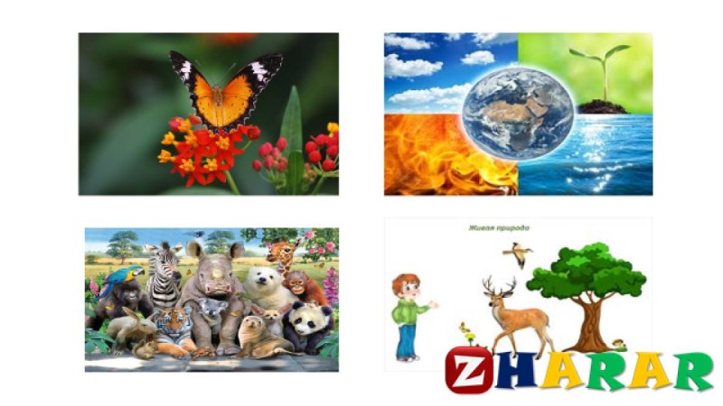 Қазақ тілінен сабақ жоспары: Табиғатты қорғау (3 сынып, I тоқсан, 12 сабақ)