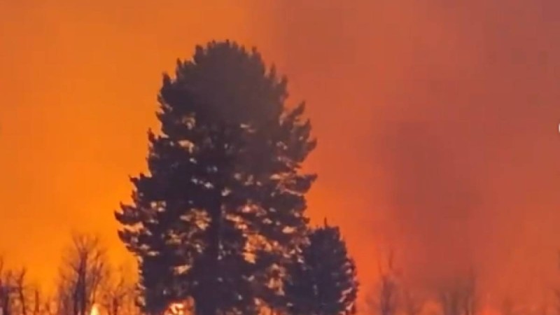 Павлодар облысында ормандағы өрт аумағы мың гектарға жетті