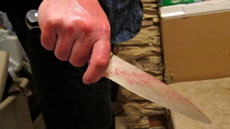 СҚО тұрғыны өз інісін өлтіріп қойды: бірге арақ ішіп, сөзге келіп қалған