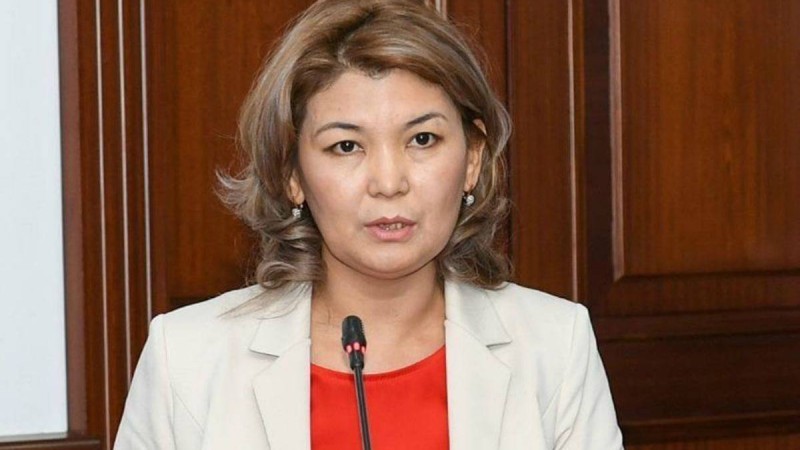 Бала 1 сыныпқа дейін оқып, жаза білуі керек пе – БҒМ комитеті басшысының жауабы - Қазақстан жаңалықтары