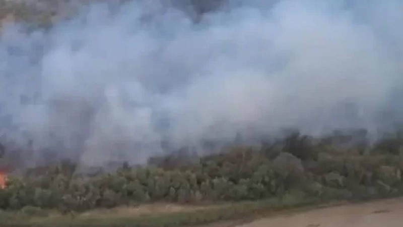 "Алтынемел" ұлттық табиғи паркінің аумағында өрт шықты