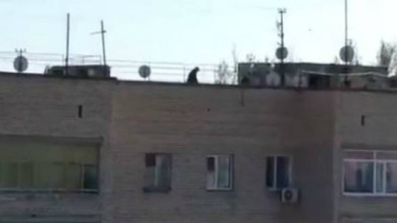 Оралда әкесі мен баласы 9 қабатты үйдің төбесінде серуендеді - Қазақстан жаңалықтары