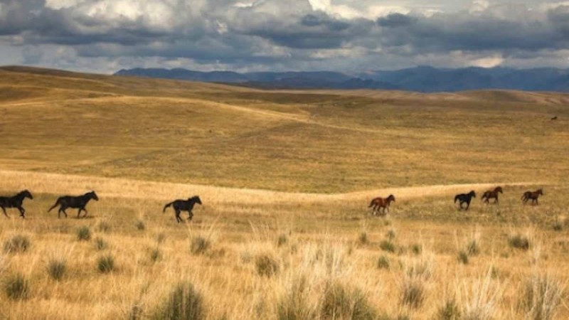 Қазақстандық депутаттар ашаршылыққа ресми түрде «геноцид» деп құқықтық баға беруді талап етті - Қазақстан жаңалықтары