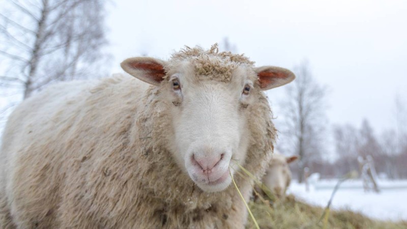 26-28 қарашаға арналған ауа райы болжамы