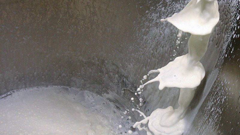 Ғалым сарысудың адам денсаулығына қандай пайдасы бар екенін айтты