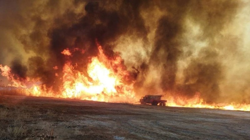 Балқаш көлінің маңында алапат өрт болды – фото, видео
