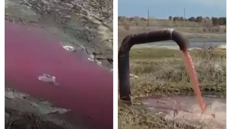 Семей маңында құбырдан аққан қан тұрғындарды шошытты (видео)