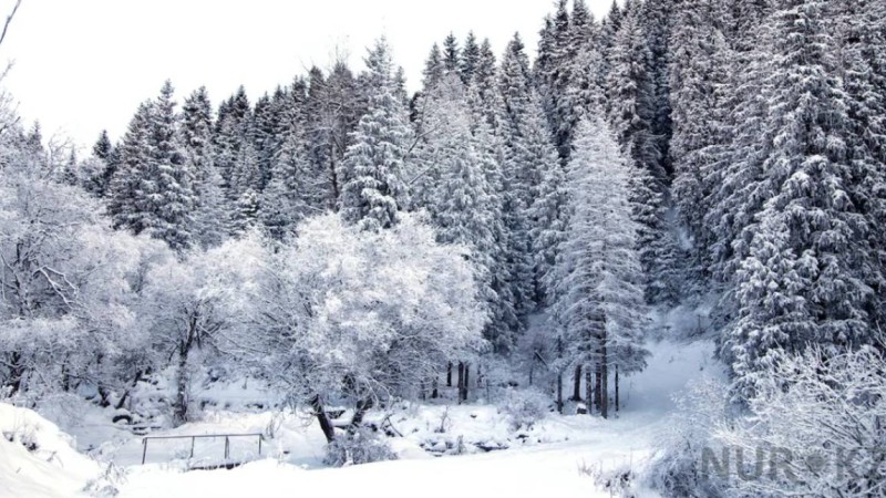 Қыс мезгілінде тауда серуендеудің қандай артықшылықтары бар