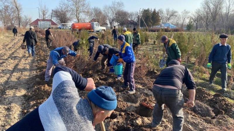Шымкентте жалпы қалалық сенбілік өтті