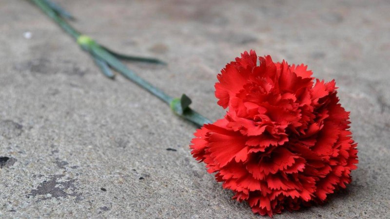 Қазақ телевизиясының ардагері дүниеден озды