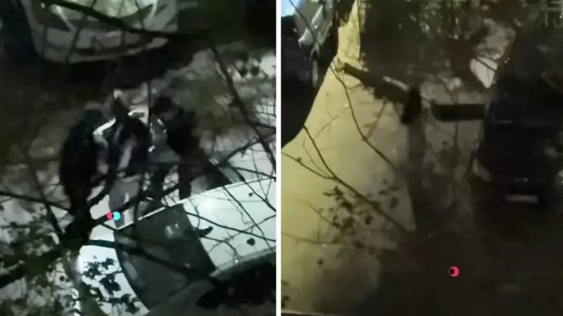 Алматыда жігіттер түнгі уақытта бойжеткенді күштеп, көлігімен алып кетпек болды