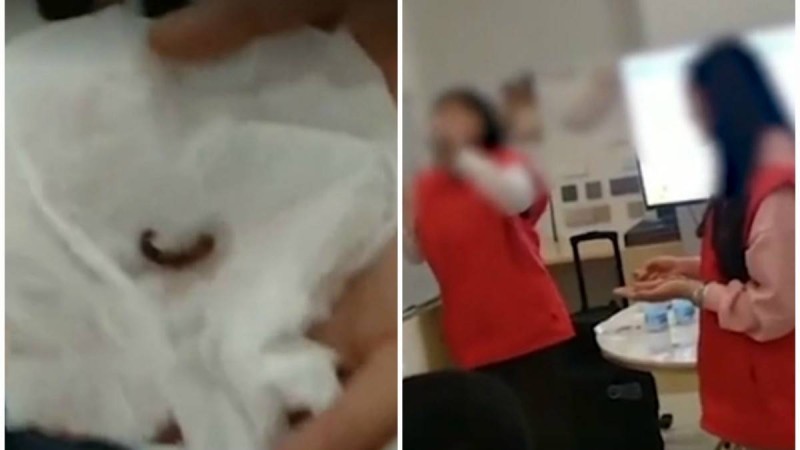 Сату жоспарын орындамағаны үшін қытайлар құрт жеуге мәжбүр болды - Қазақстан жаңалықтары