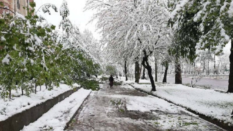Қар жауады: Шымкентте және қзге 10 облыста дауылды ескерту жарияланды