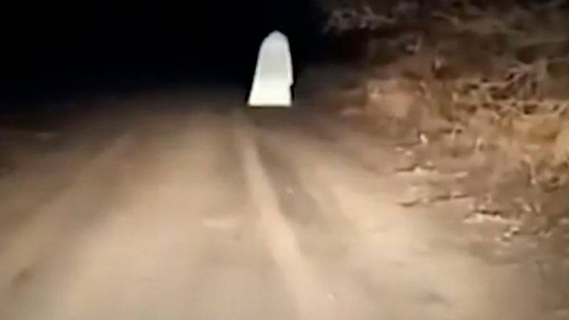 Ханкөлден "шайтан" іздеген полицейлер тексеріс нәтижесін жариялады