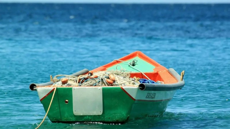 Мавританияда теңіз жағалауында 89 мигранттың денесі табылды