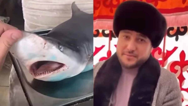 Әбдіжаппар Әлқожа ұлдарының тойына АҚШ-тан акула алдыртып сойған