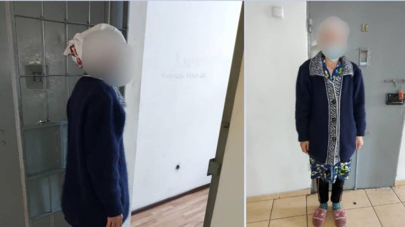 Кеудесіне шаншып тастаған: Алматы облысында 55 жастағы әйел мас күйеуін пышақтап өлтірді