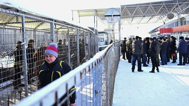 Қазақ-қырғыз шекарасында елшілік қызметкері ұсталғаны рас па?