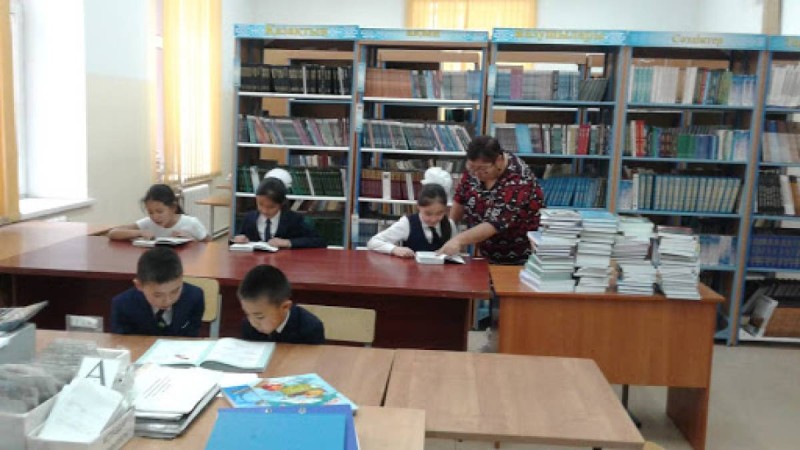 "Балаларымыз кітапты оқымайтыны бір бөлек, кейде оқыған мәтінді түсінбейді" - Білім министрі