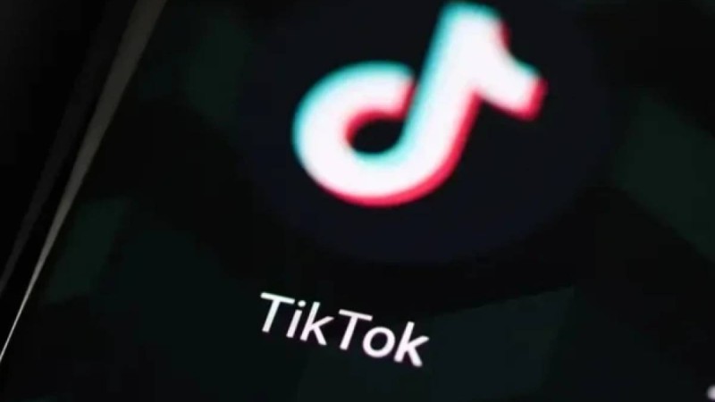 Жамбыл облысында бойжеткен TikTok арқылы танысқан жігітке 1,4 млн теңге қарызға берген