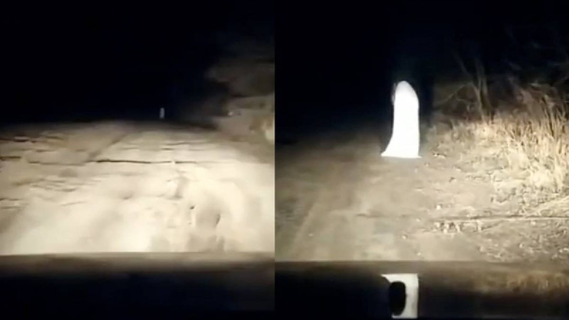 Елес іздеп кеткен полиция алғашқы қадамдар туралы хабарлады