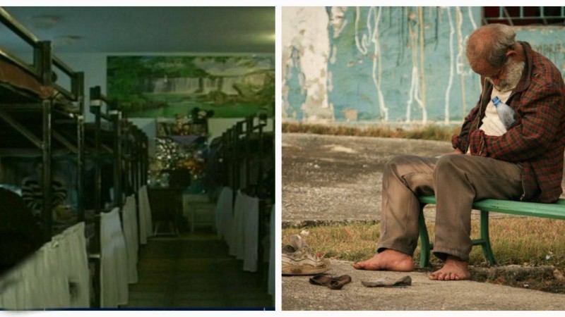 Алматы көшелерінен қаңғыбастардың жоғалып кетуі шенеуніктерді алаңдатып отыр - Қазақстан жаңалықтары