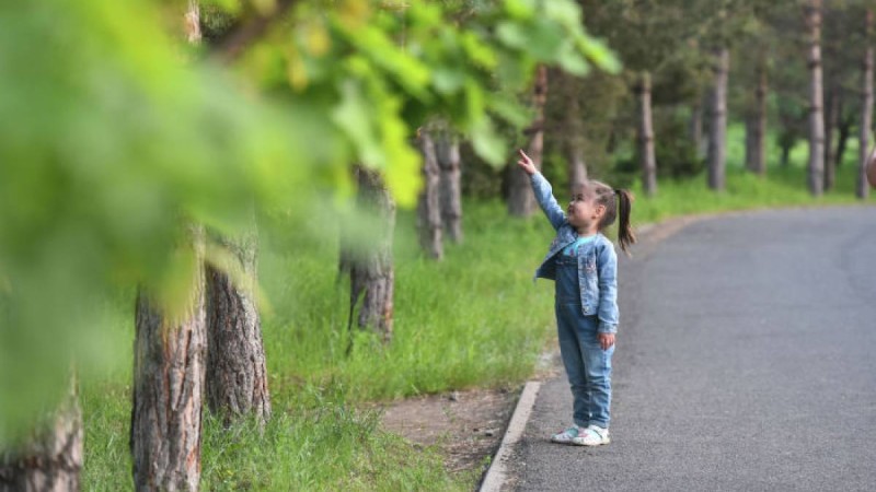 Қазақстанда 31 мамырда қандай маңызды оқиғалар болады
