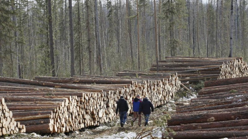Ресей үшін көмірсутектердің аяқталуы экономиканың орасан бөлігін жоғалтуды білдіреді