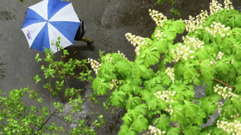 Қазақстанда маусымда ауа райы қандай болады: аптап ыстық, жаңбыр, бұршақ