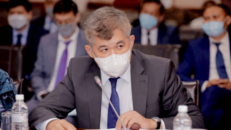 Үйқамақта отырған Елжан Біртановтың денсаулығының нашарлағаны хабарланды